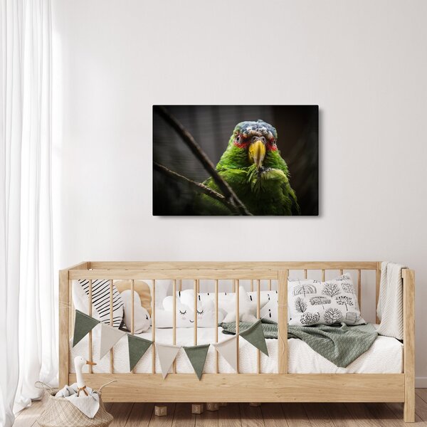 Slika papige (90x60 cm)