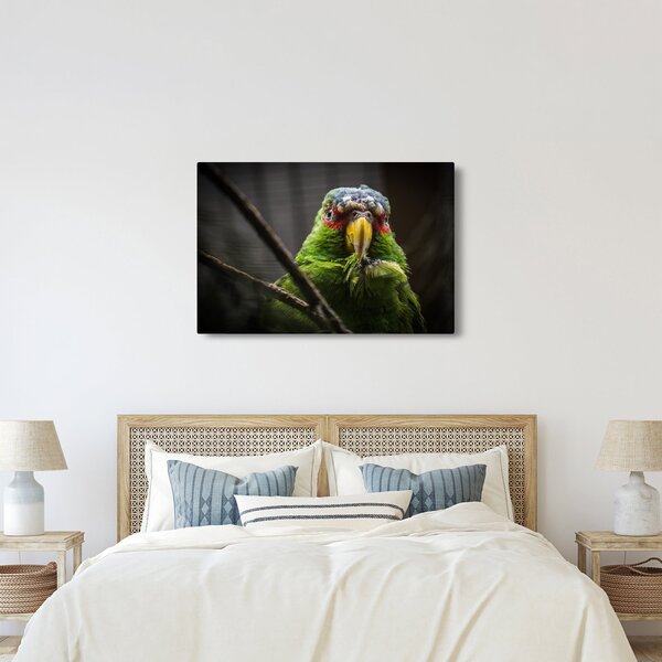 Slika papige (90x60 cm)