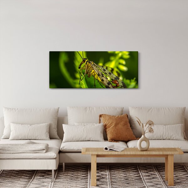 Slika kukca (120x50 cm)