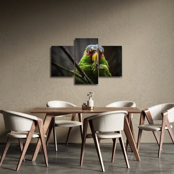Slika papige (90x60 cm)