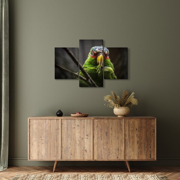 Slika papige (90x60 cm)