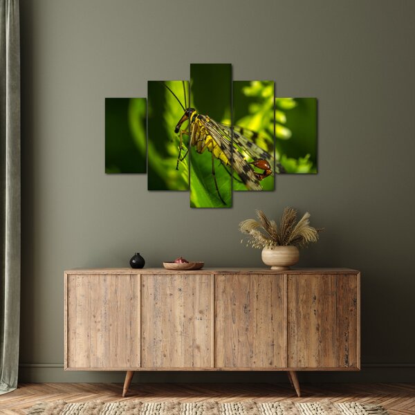 Slika kukca (150x105 cm)