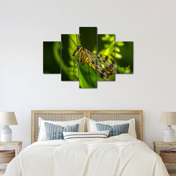 Slika kukca (150x105 cm)