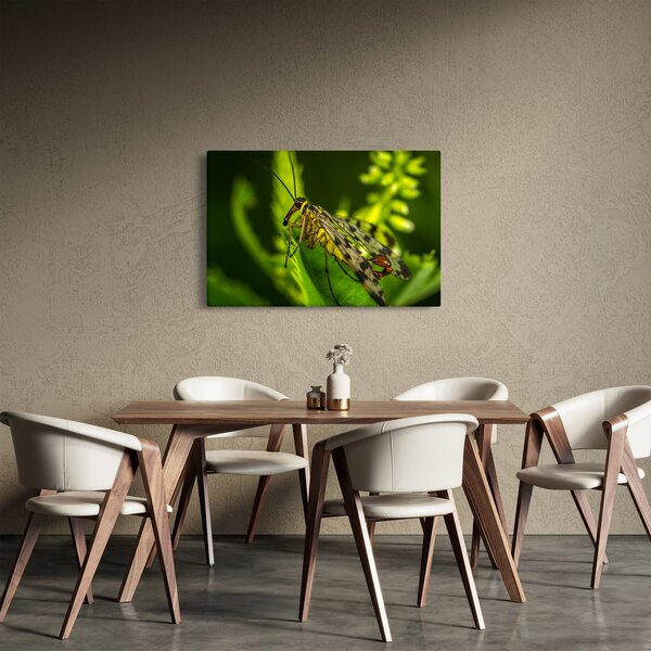Slika kukca (90x60 cm)