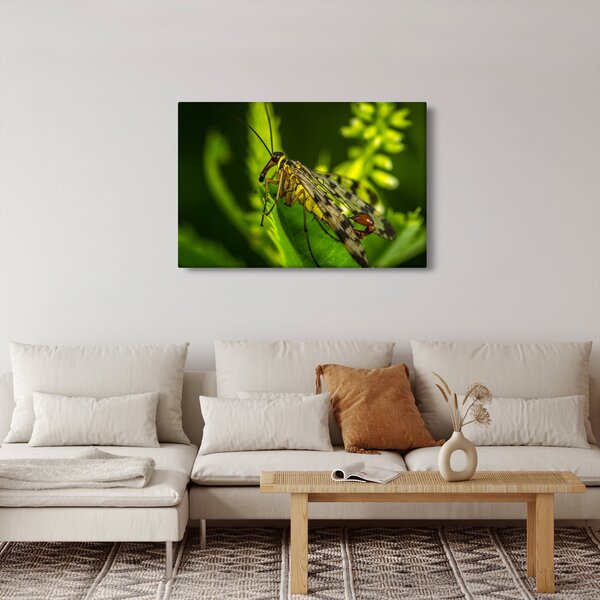Slika kukca (90x60 cm)
