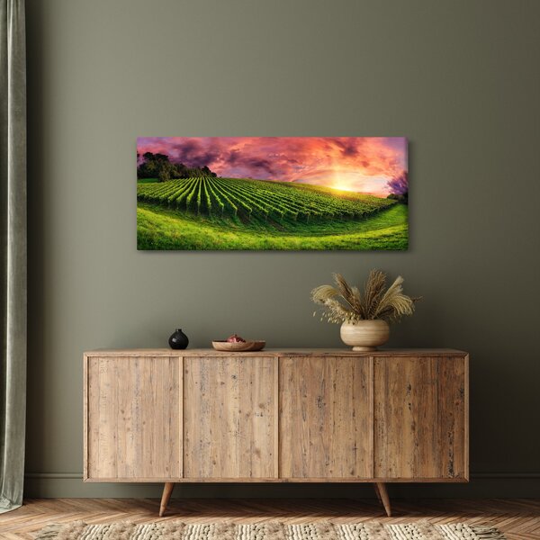 Slika vinograda s obojenim nebom (120x50 cm)
