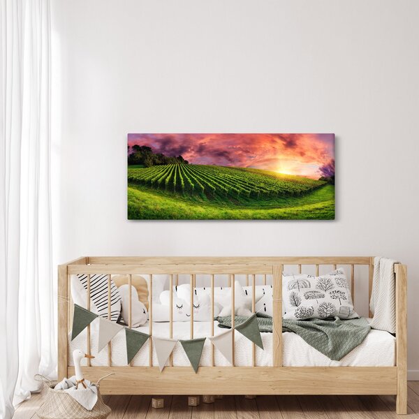 Slika vinograda s obojenim nebom (120x50 cm)