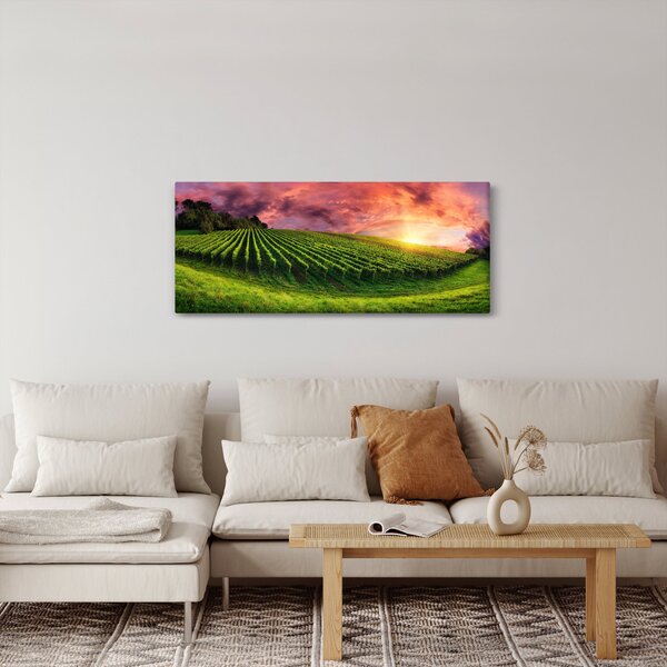 Slika vinograda s obojenim nebom (120x50 cm)