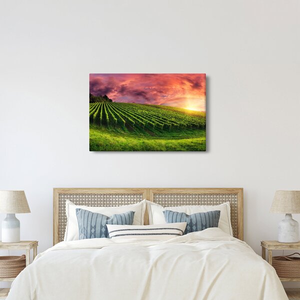 Slika vinograda s obojenim nebom (90x60 cm)