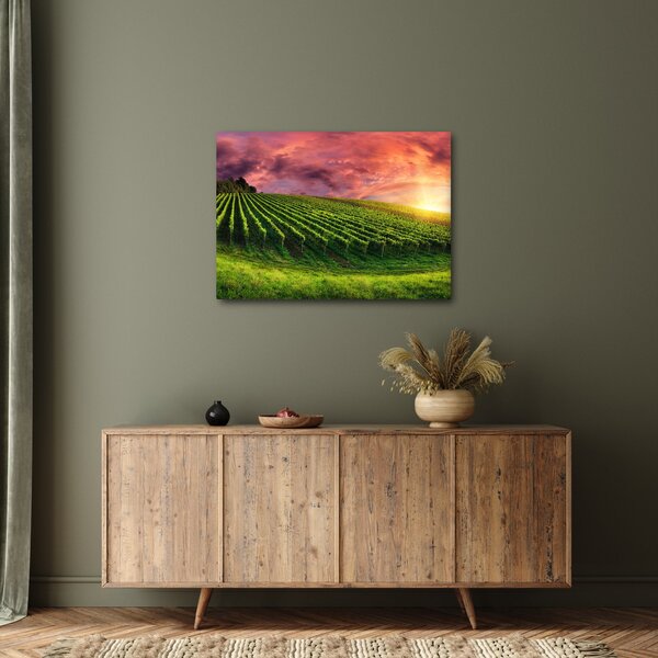 Slika vinograda s obojenim nebom (70x50 cm)