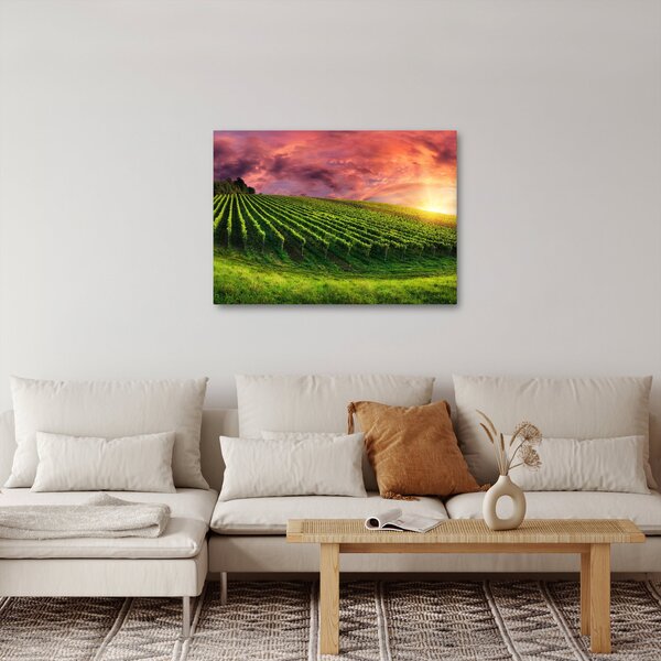 Slika vinograda s obojenim nebom (70x50 cm)