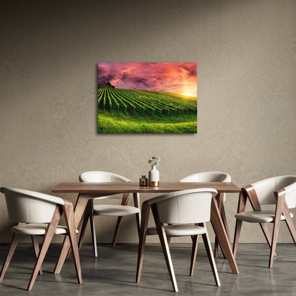Slika vinograda s obojenim nebom (70x50 cm)