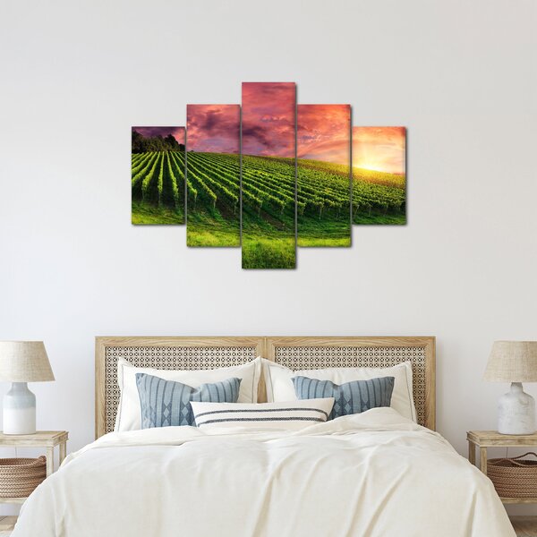 Slika vinograda s obojenim nebom (150x105 cm)