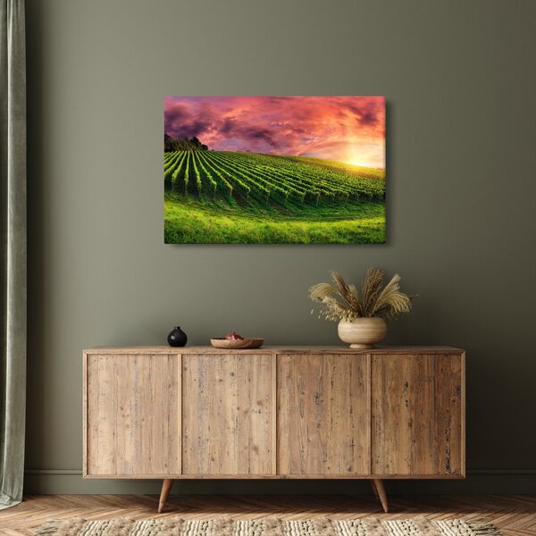 Slika vinograda s obojenim nebom (90x60 cm)