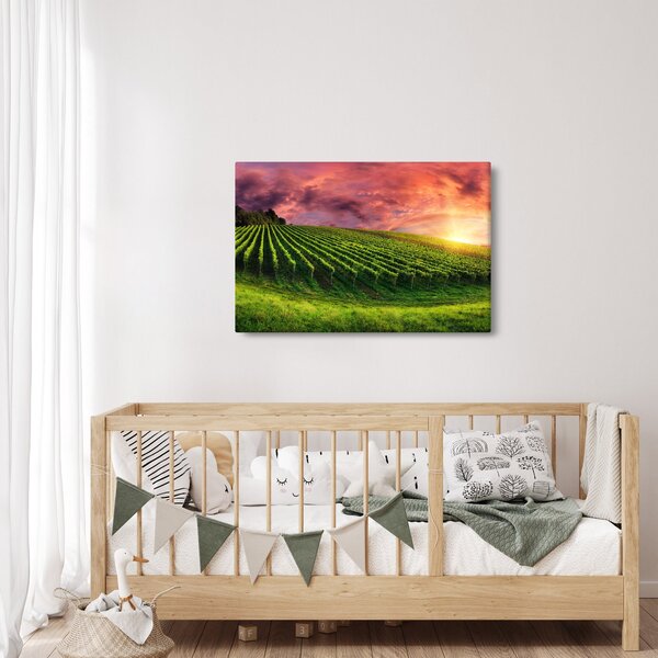 Slika vinograda s obojenim nebom (90x60 cm)