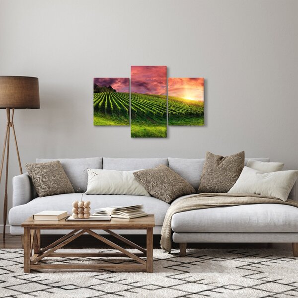 Slika vinograda s obojenim nebom (90x60 cm)