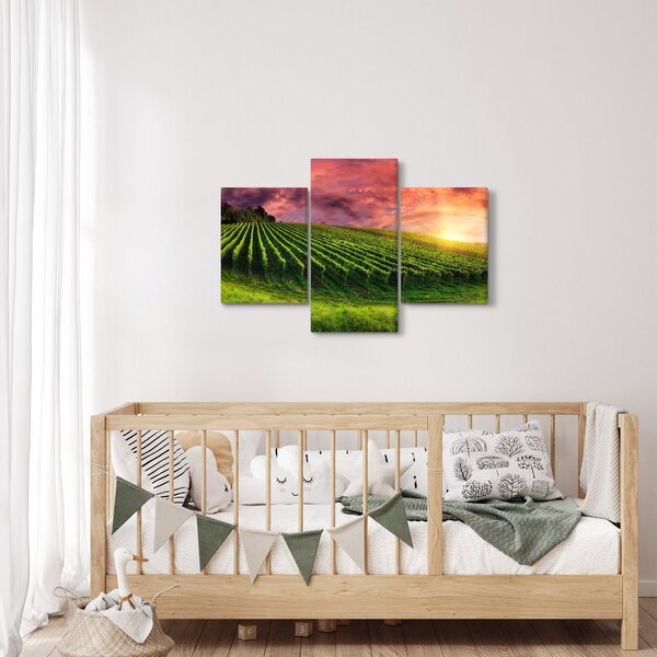 Slika vinograda s obojenim nebom (90x60 cm)