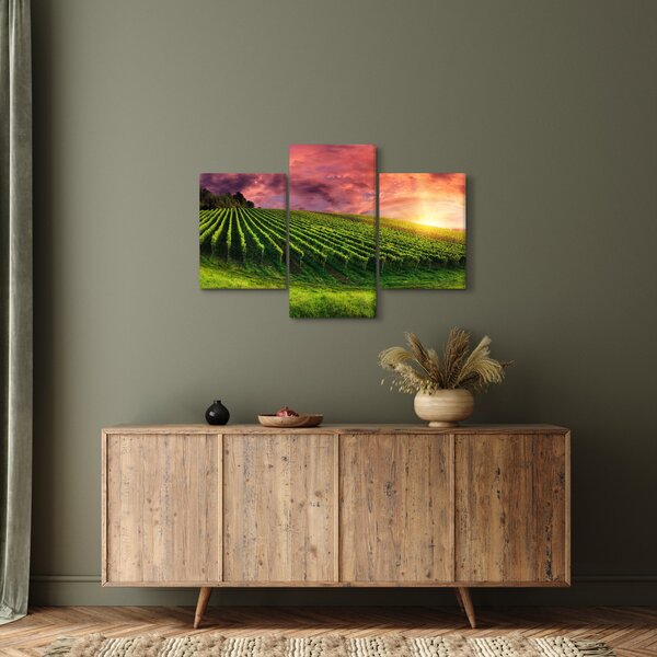 Slika vinograda s obojenim nebom (90x60 cm)