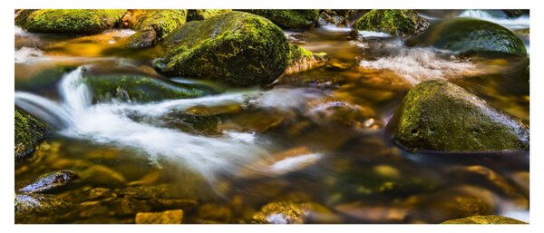 Slika potoka (120x50 cm)