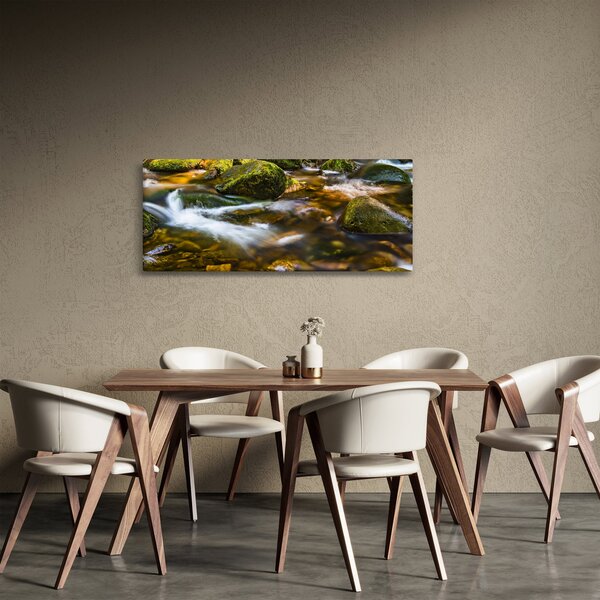 Slika potoka (120x50 cm)