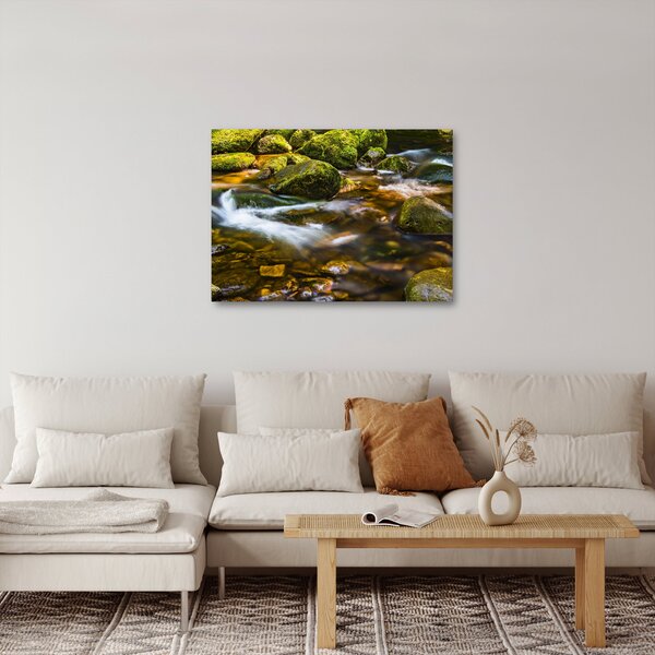 Slika potoka (70x50 cm)