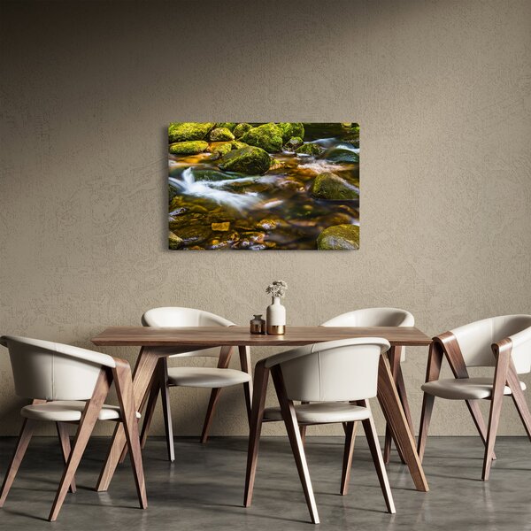 Slika potoka (90x60 cm)