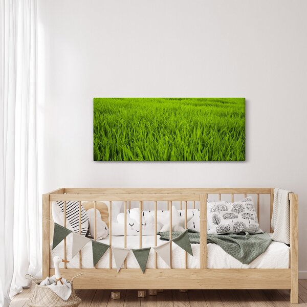 Slika trave (120x50 cm)