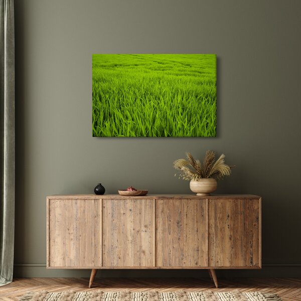 Slika trave (90x60 cm)