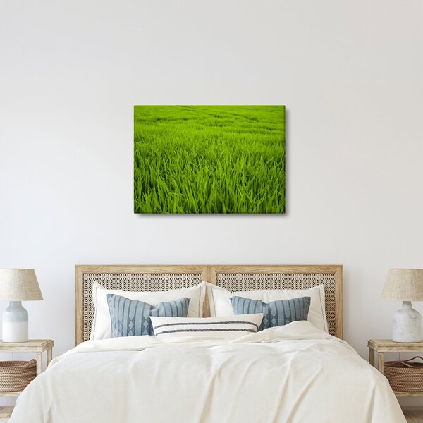 Slika trave (70x50 cm)
