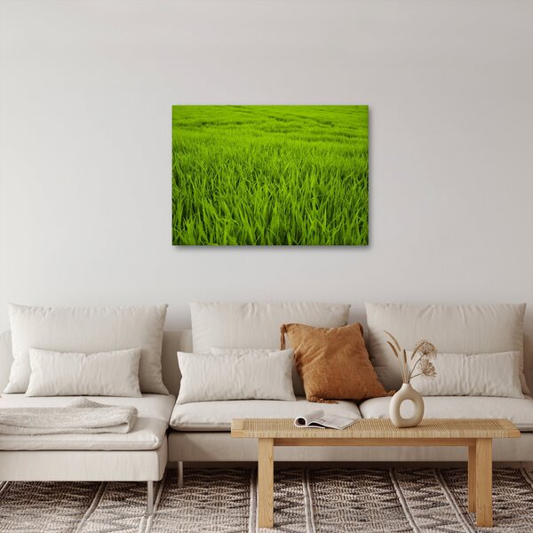 Slika trave (70x50 cm)