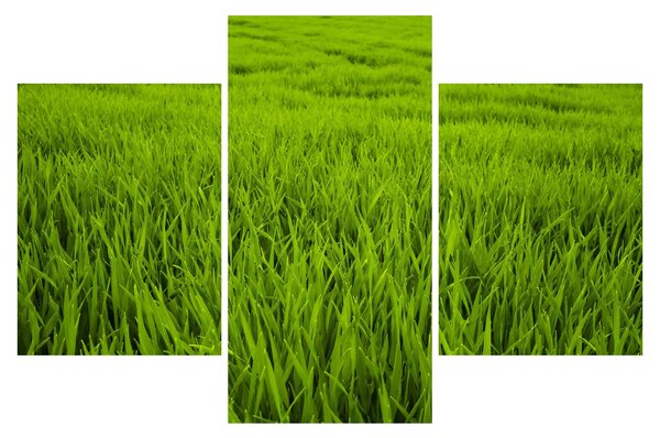 Slika trave (90x60 cm)