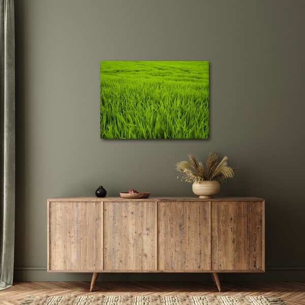 Slika trave (70x50 cm)