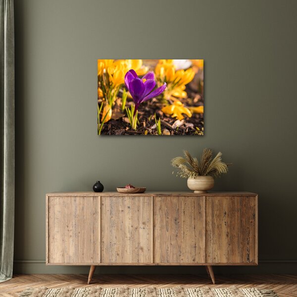Slika ljubičastog cvijeta (70x50 cm)