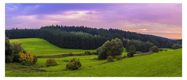 Slika livade (120x50 cm)