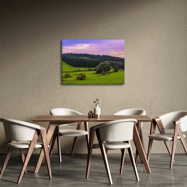 Slika livade (70x50 cm)
