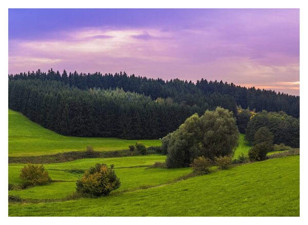 Slika livade (70x50 cm)