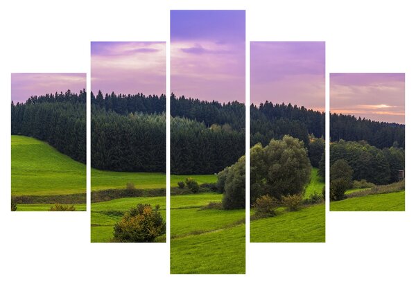 Slika livade (150x105 cm)