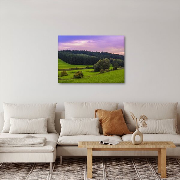 Slika livade (70x50 cm)