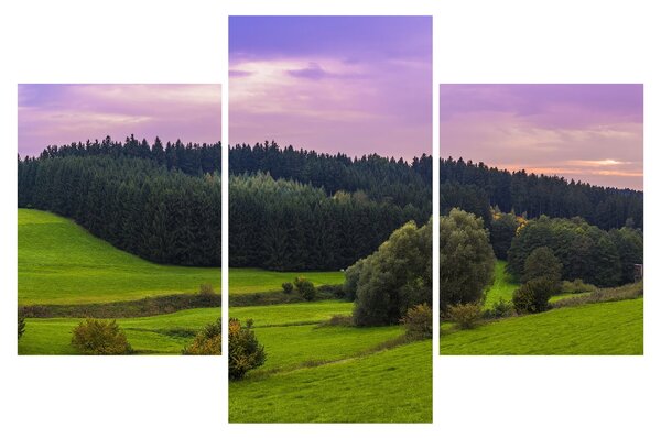 Slika livade (90x60 cm)