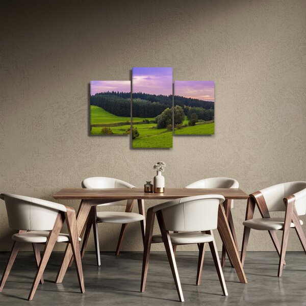 Slika livade (90x60 cm)