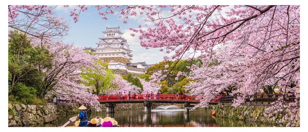 Slika japanske trešnje (120x50 cm)