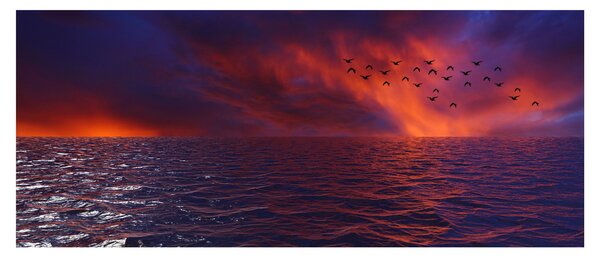 Slika mora s pticama (120x50 cm)