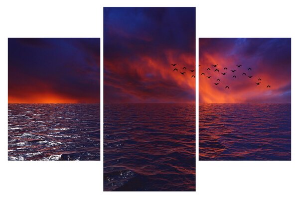 Slika mora s pticama (90x60 cm)