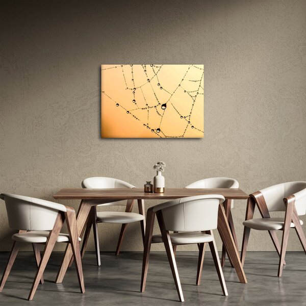 Slika rosne paučine (70x50 cm)