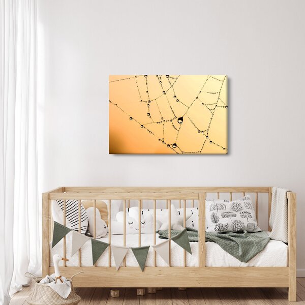 Slika rosne paučine (90x60 cm)