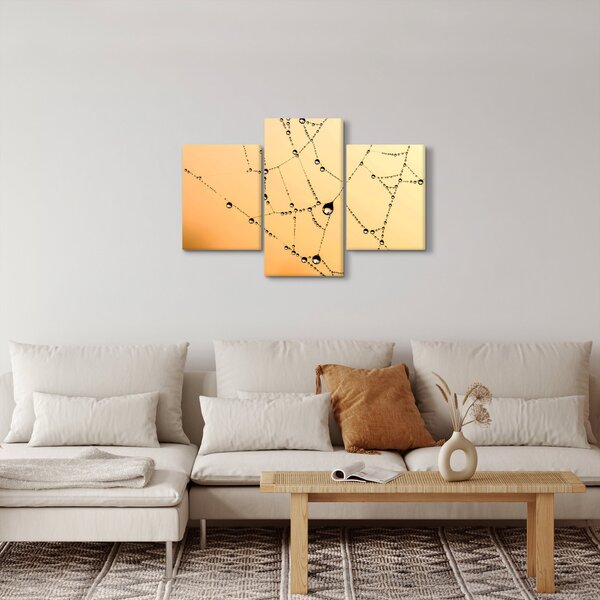 Slika rosne paučine (90x60 cm)