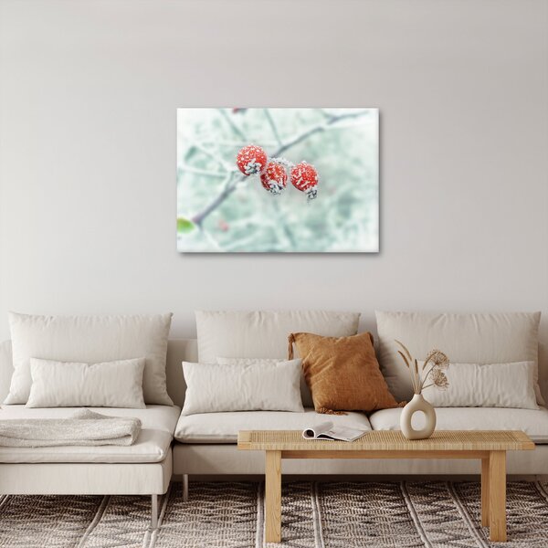 Slika smrznutih šipaka (70x50 cm)