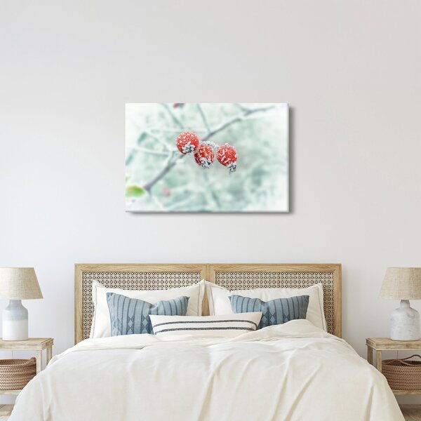 Slika smrznutih šipaka (90x60 cm)