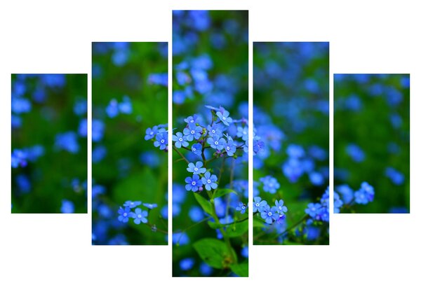 Slika plavog cvijeća (150x105 cm)