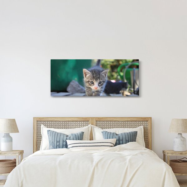 Slika mačića (120x50 cm)